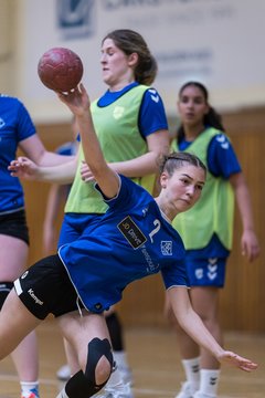 Bild 197 - wBJ TSV Ellerau - HSG Stoertal Hummeln : Ergebnis: 26:19